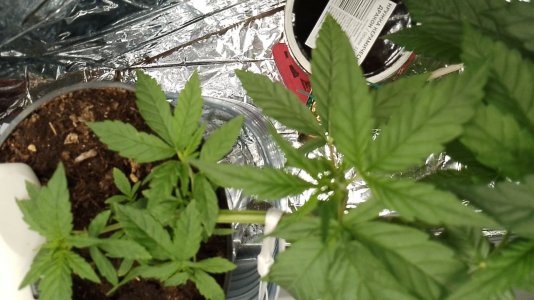 photo_2024-05-30_15-15-00.jpg photo_2024-05-30_15-15-00.jpg