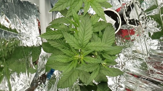 photo_2024-05-30_15-14-57.jpg photo_2024-05-30_15-14-57.jpg