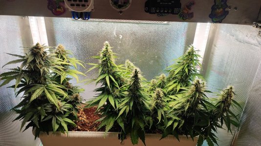 image-00001-1.jpg image-00001-1.jpg