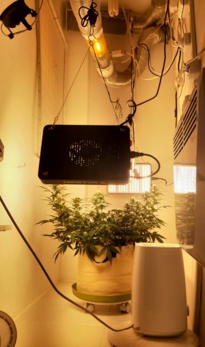 20240601_132940.jpg 20240601_132940.jpg