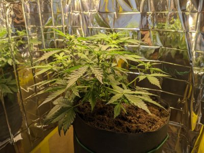 день 31 с боку.jpg