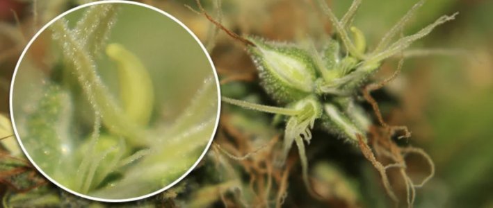 IMG_9033.jpeg IMG_9033.jpeg