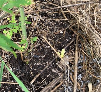 IMG_5640 — копия.jpg