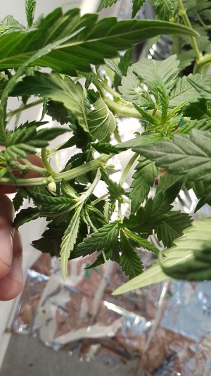 photo_2024-06-12_11-43-25.jpg photo_2024-06-12_11-43-25.jpg