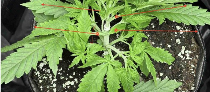 cleaned_1212.jpg cleaned_1212.jpg