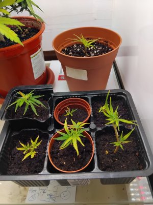 1000002359.jpg 1000002359.jpg