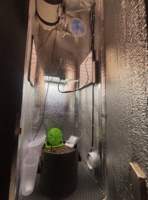 cleaned_trashed-1710187981-IMG20240201134736.jpg cleaned_trashed-1710187981-IMG20240201134736.jpg