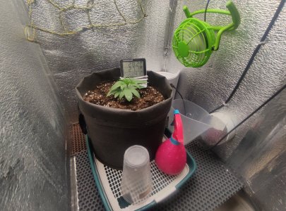 cleaned_IMG20240315135430.jpg cleaned_IMG20240315135430.jpg