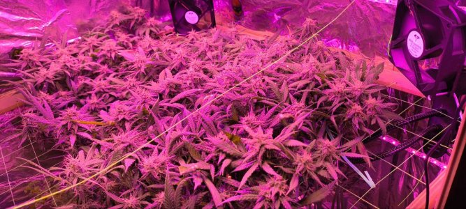 photo1719148012 (2).jpeg photo1719148012 (2).jpeg