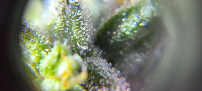 photo1719148012 (5).jpeg photo1719148012 (5).jpeg