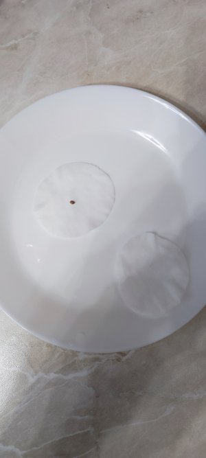 1000010554.jpg 1000010554.jpg