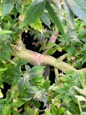 IMG_6172.jpeg IMG_6172.jpeg