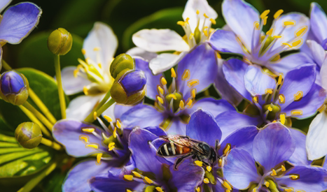 1720709077779.png 1720709077779.png