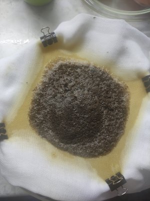 IMG_20240712_134650.jpg IMG_20240712_134650.jpg