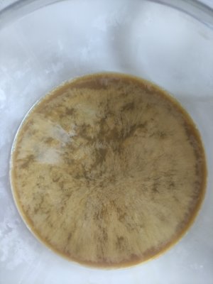 IMG_20240713_183412.jpg IMG_20240713_183412.jpg