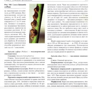 IMG_2783.jpeg IMG_2783.jpeg