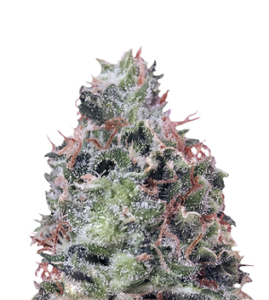 1721742322692.png 1721742322692.png