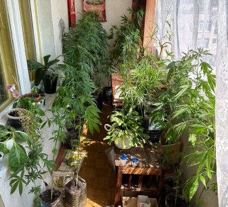 IMG_2978.jpeg IMG_2978.jpeg