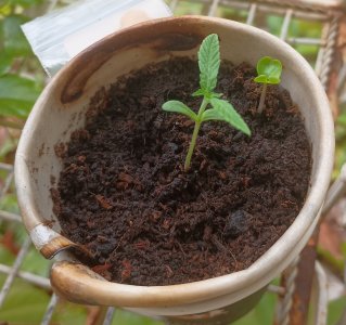 qqqqqqqq.jpg qqqqqqqq.jpg