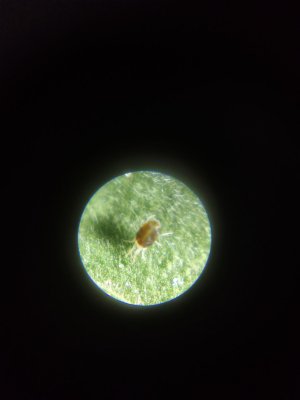 photo_2024-08-12_13-20-39.jpg photo_2024-08-12_13-20-39.jpg