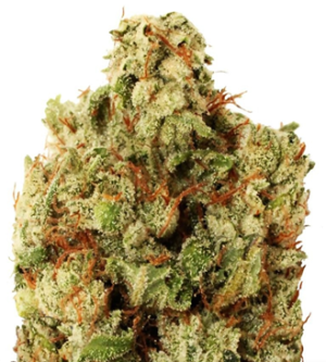 1725614681639.png 1725614681639.png