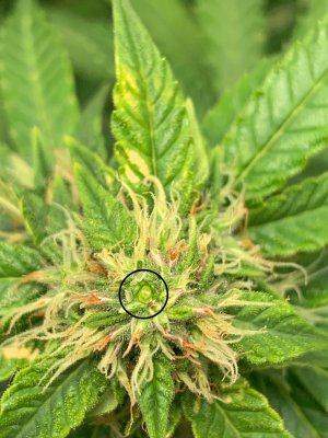 IMG_6881.jpeg IMG_6881.jpeg