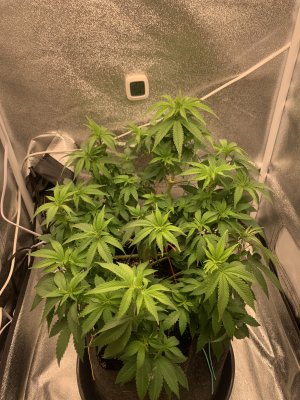 IMG_6898.jpeg IMG_6898.jpeg