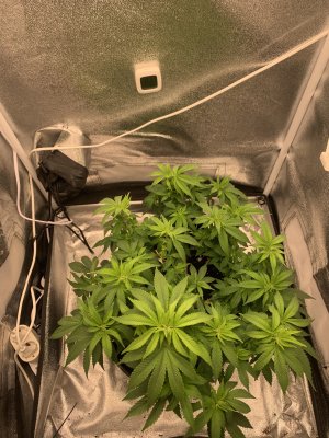 IMG_6900.jpeg IMG_6900.jpeg