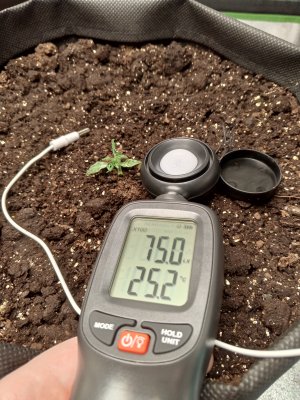 Солнце1.jpg Солнце1.jpg