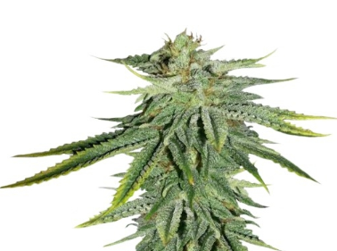 1728908863013.png 1728908863013.png