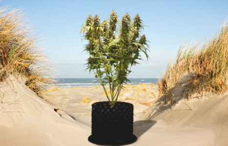 1728980431721.png 1728980431721.png