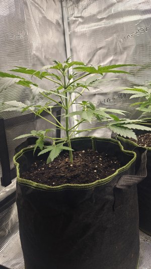 IMG20241018194049.jpg IMG20241018194049.jpg