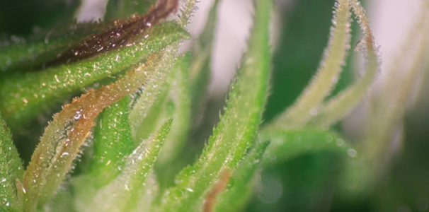 1729595101274.png 1729595101274.png