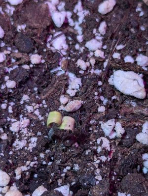 photo_2024-10-26_16-13-53 (2).jpg