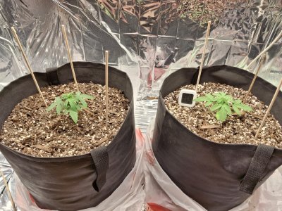 WhatsApp 2024-10-27 в 20.25.25_eb25cfa4.jpg