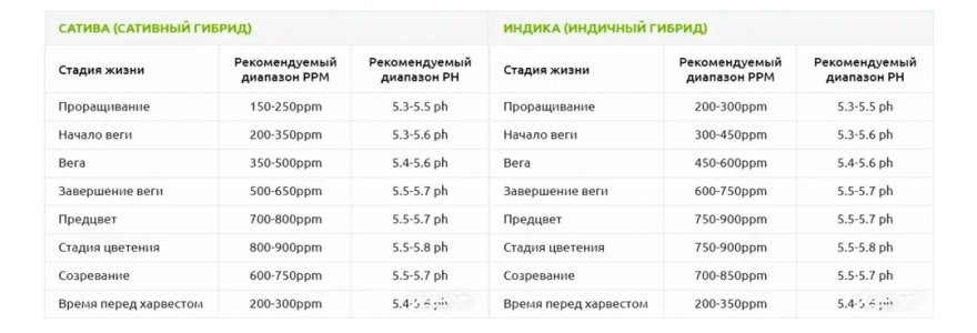 Screenshot_20240526_180022_Tor Browser.jpg Screenshot_20240526_180022_Tor Browser.jpg